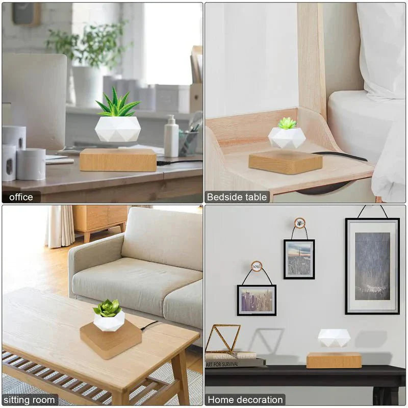 BowLift | Anti-gravity plants - Astonish your space - Nature reinvented