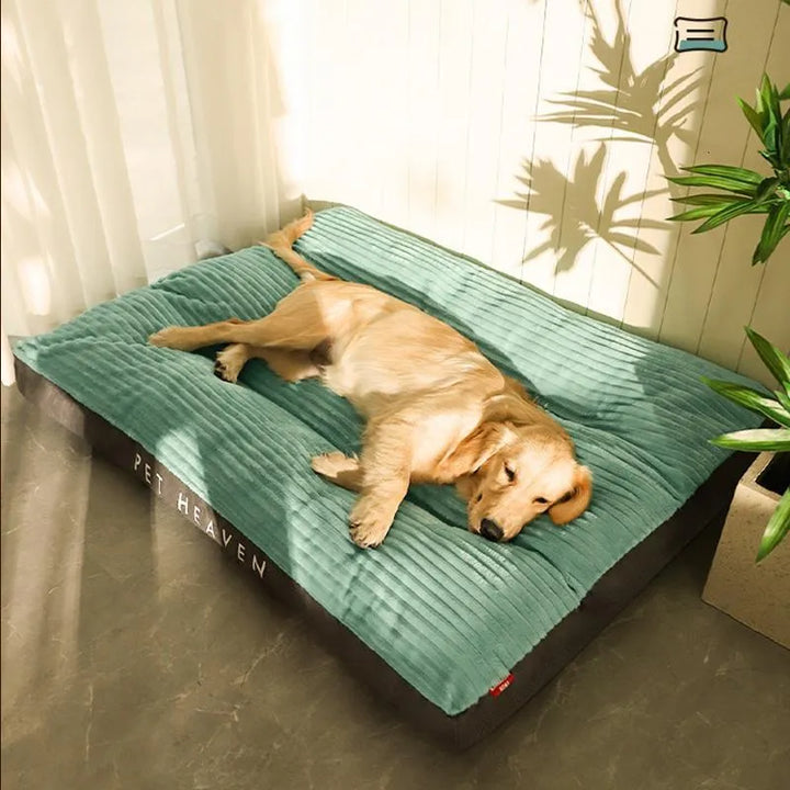 BowLift | DreamRest Orthopedic Dog Bed – Fluffy, Supportive & Washable Comfort