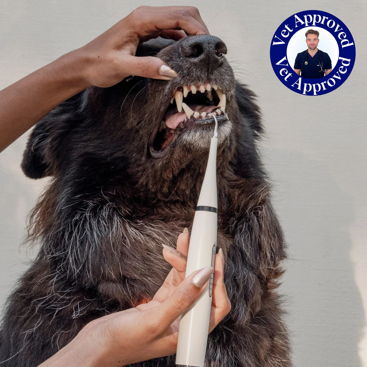 Dental Kit • Tooth Cleaner for Dogs