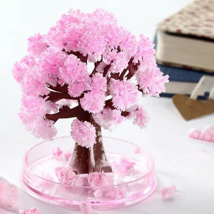 BowLift | Make your garden bloom - Grow your sakura tree!