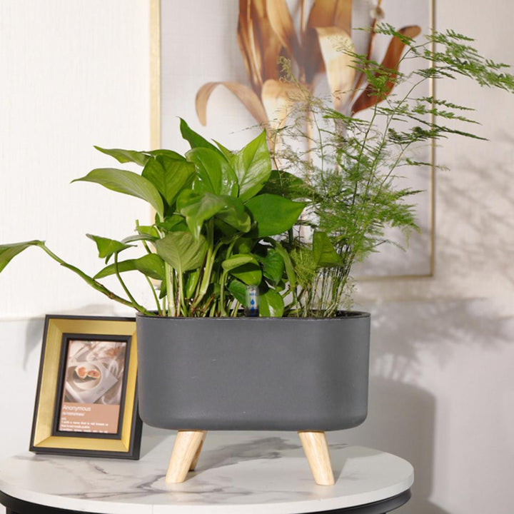 BowLift | Self-watering Flower Pot