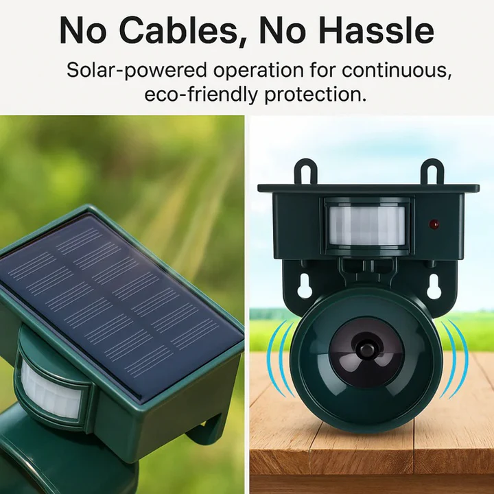 BowLift | Motion Sensor Bird Deterrent for Crows