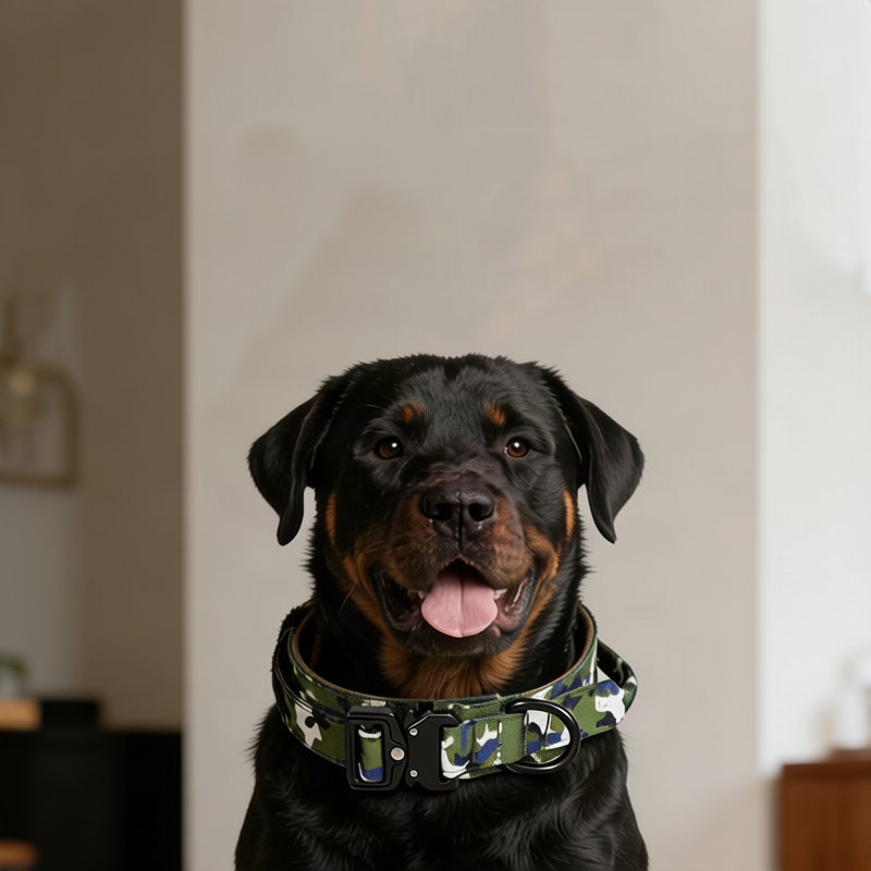 Tactical dog collar with handle