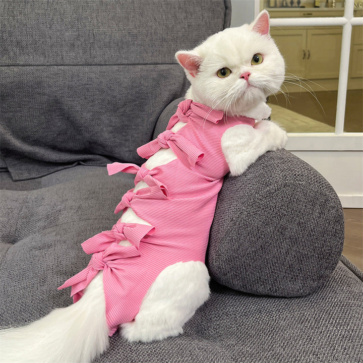 Protective clothing for pets after surgeries