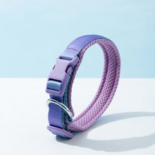 Nylon collar for medium and large dogs