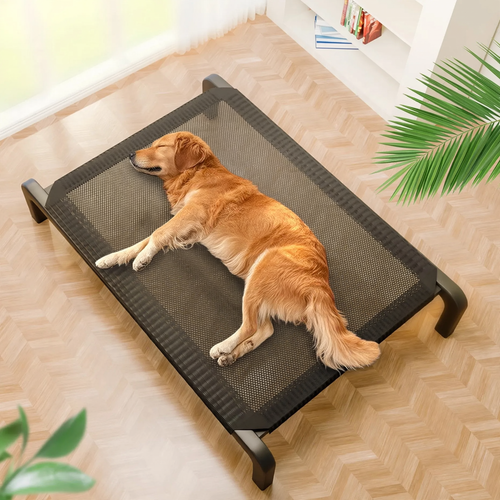 Dog bed with steel frame, breathable, year-round