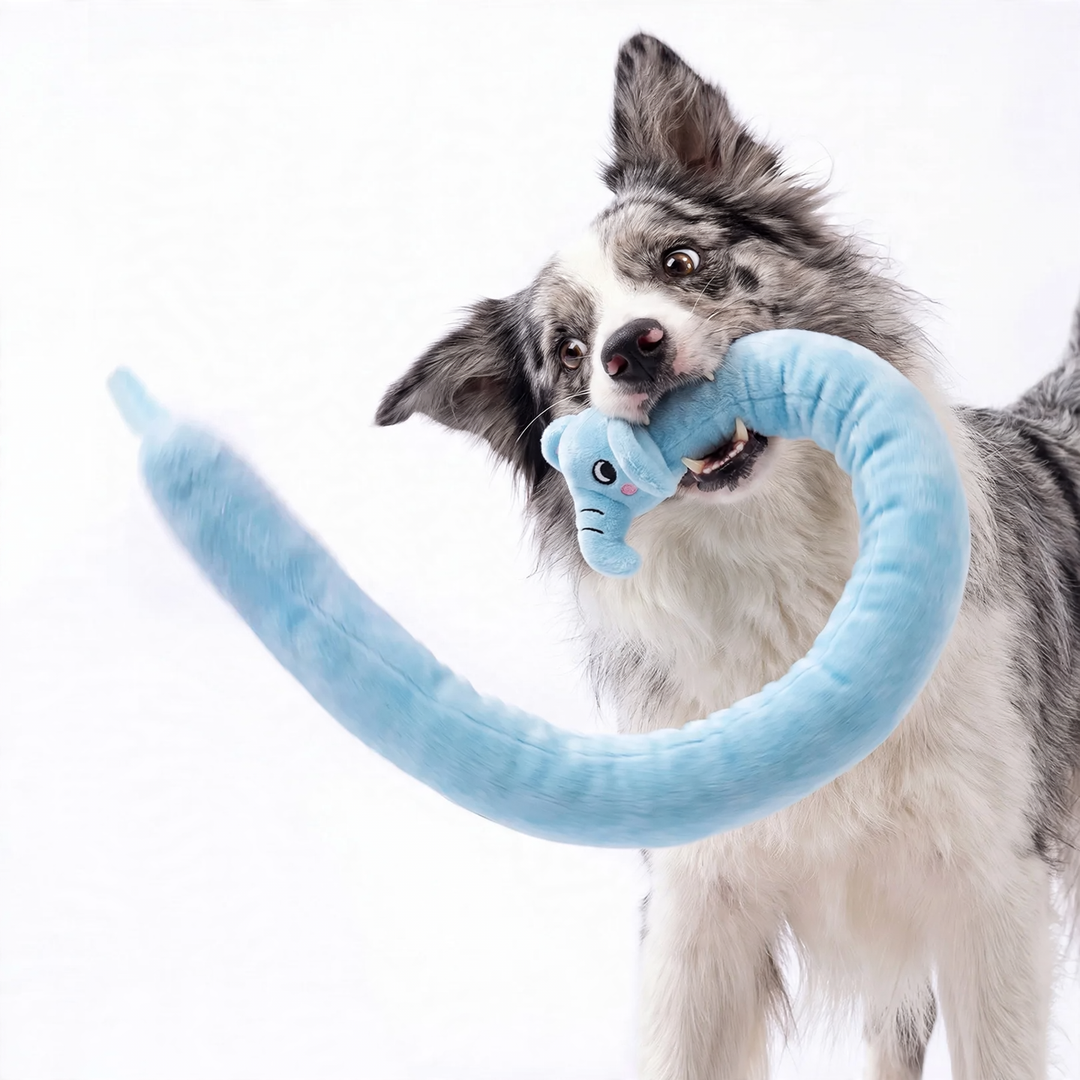 Plush dog toy with rope construction and squeaker