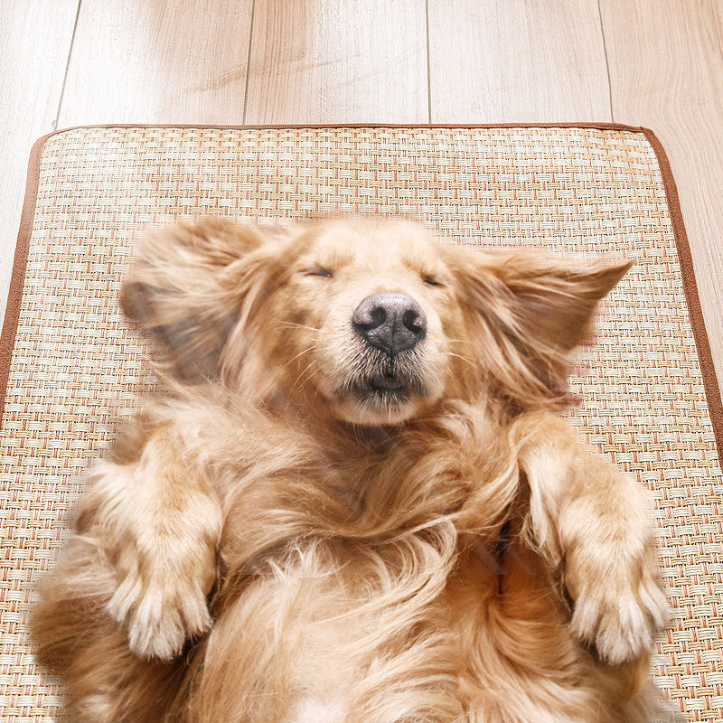 Breathable cooling mat for pets