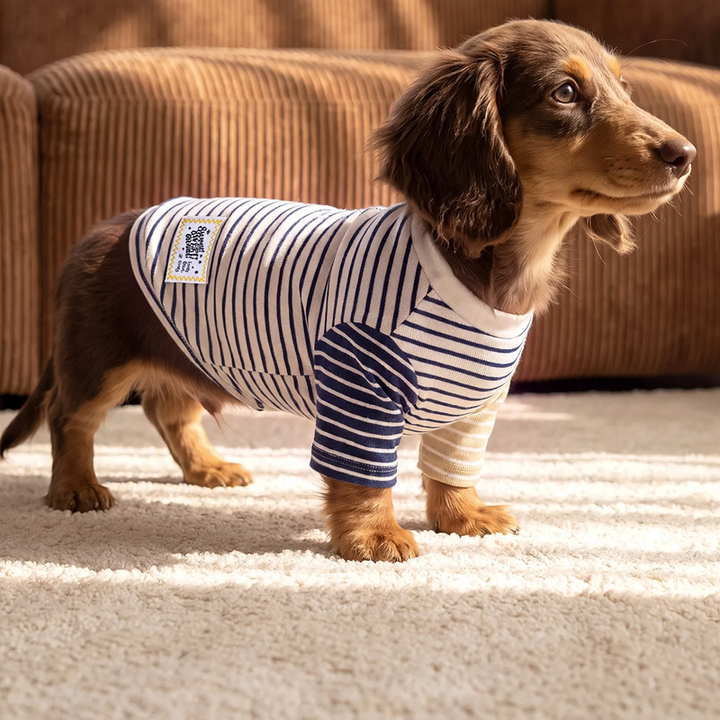 Two-legged house suit for dogs and cats, striped