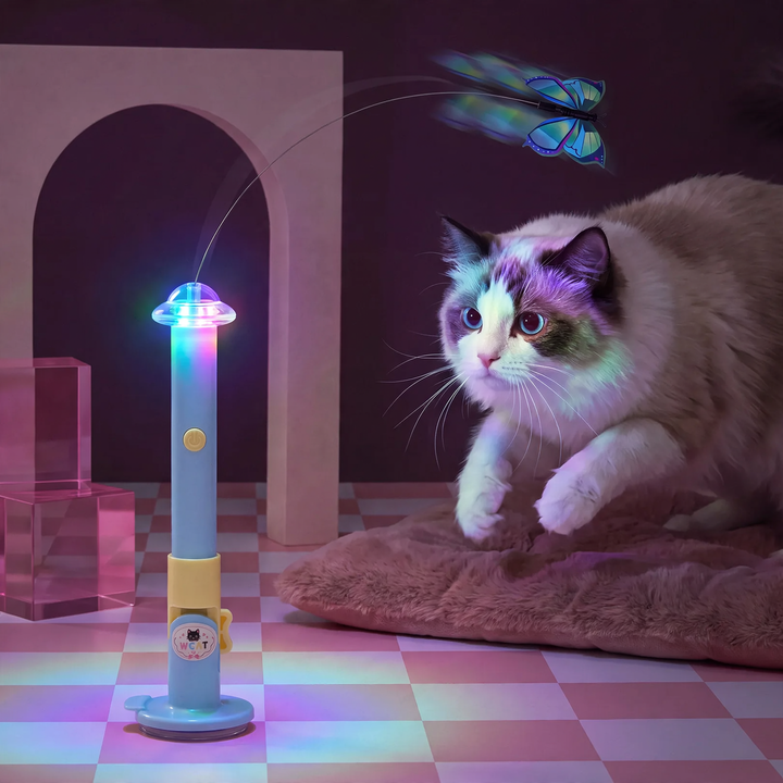 Interactive cat toy with suction cup, rechargeable