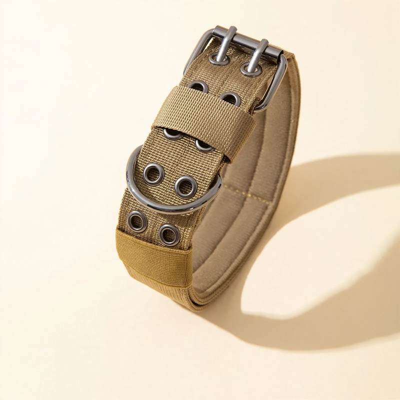 Collar for medium and large dogs with leash attachment
