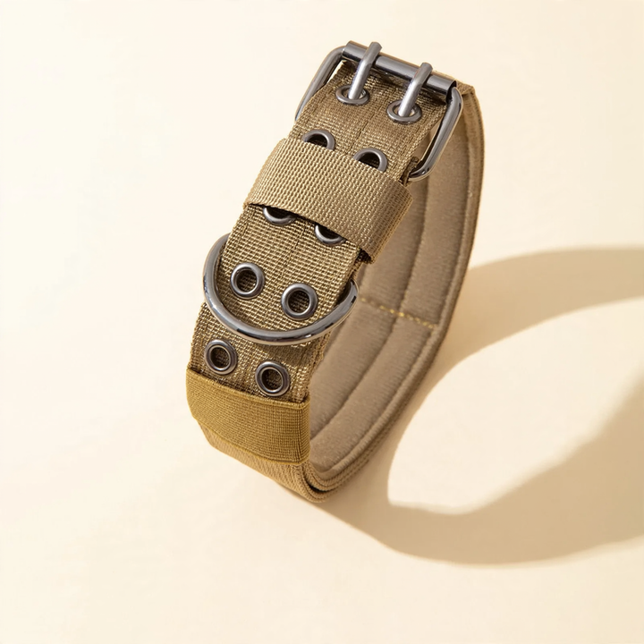 Collar for medium and large dogs with leash attachment