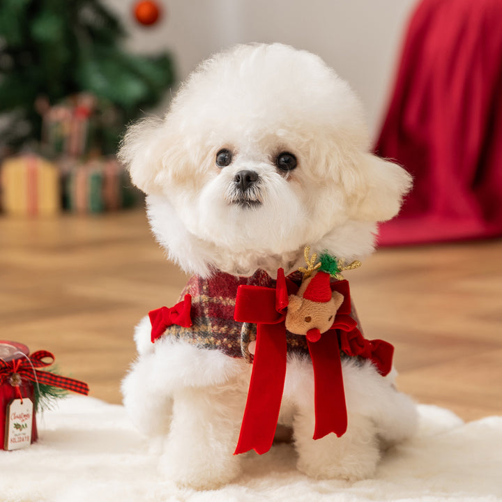 Padded cape vest for dogs and cats