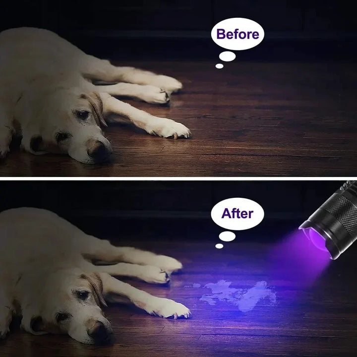 BowLift | LED UV FLASHLIGHT - ULTRAVIOLET INSPECTION LAMP FOR PET URINE STAINS AND STAIN DETECTION