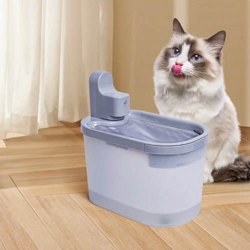 Intelligent water dispenser with sensor and circulation
