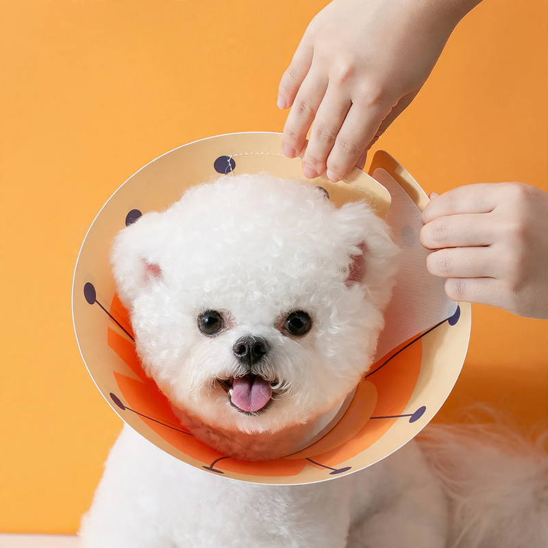 Protective collar for dogs and cats, waterproof