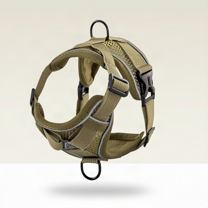 Padded dog harness with leash