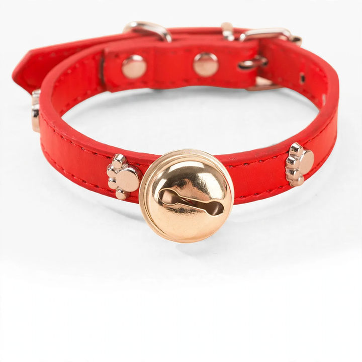 Collar for medium and large dogs with leash attachment