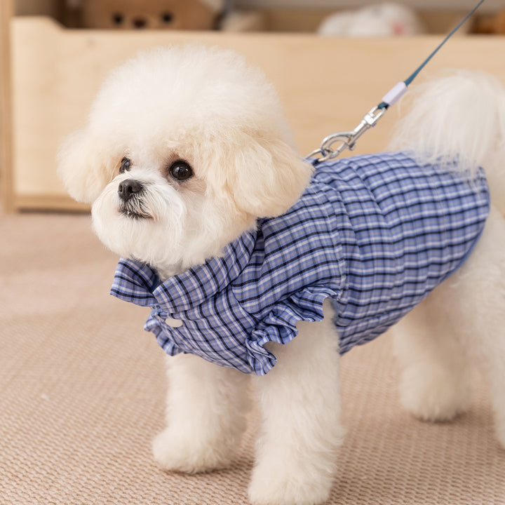 Dog jacket, check pattern, with leash, cotton