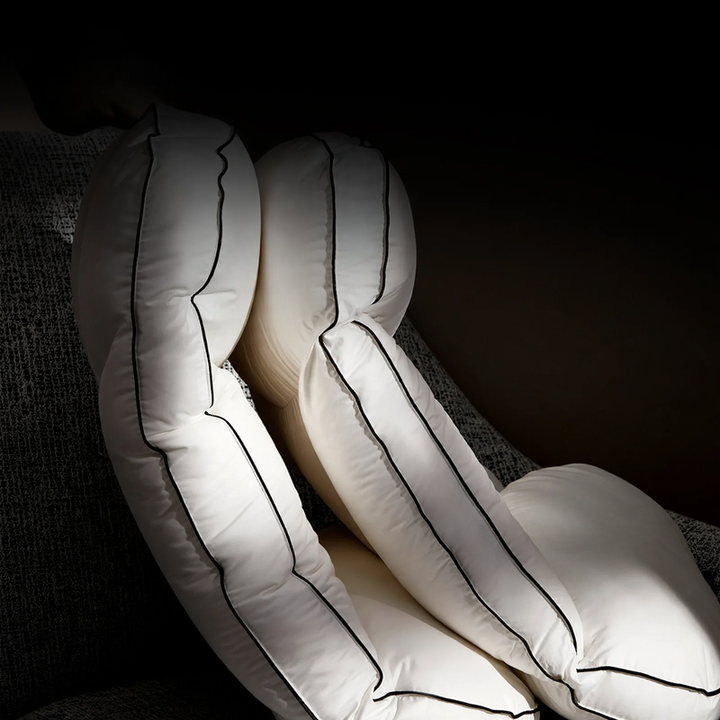 Goose down pillow, Rectangular, 48×74 cm