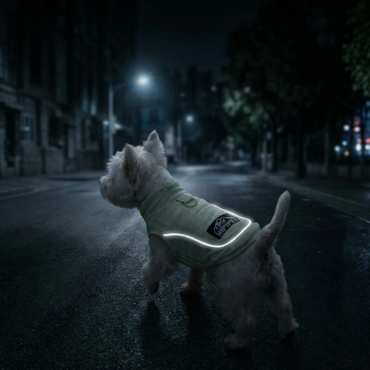 Dog carrier shirt with reflectors for summer