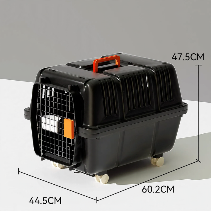Pet transport box made of ABS, wear-resistant