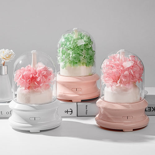 Aroma Diffuser with LED light and spray function