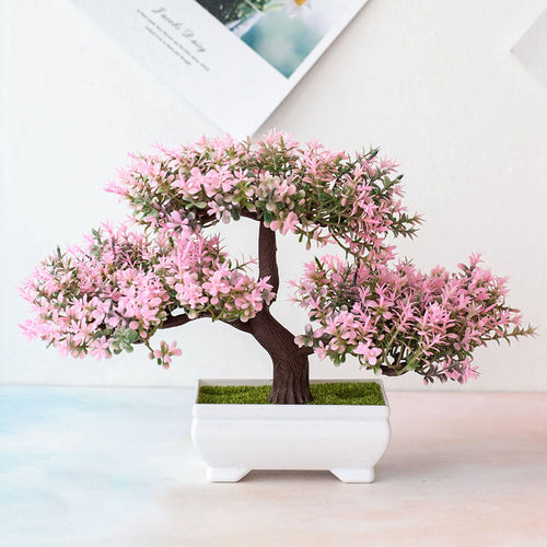 BowLift | Plant Bonsai