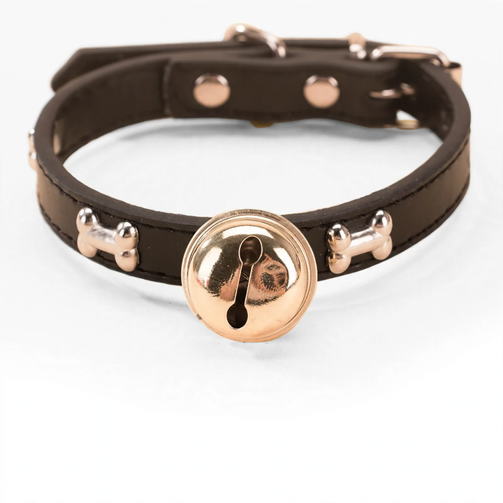 Nylon collar for medium and large dogs