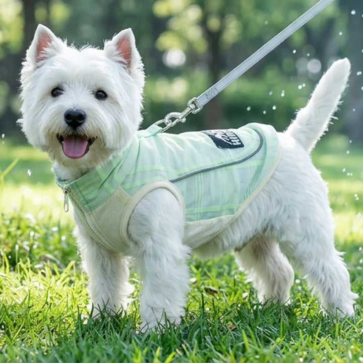 Dog carrier shirt with reflectors for summer