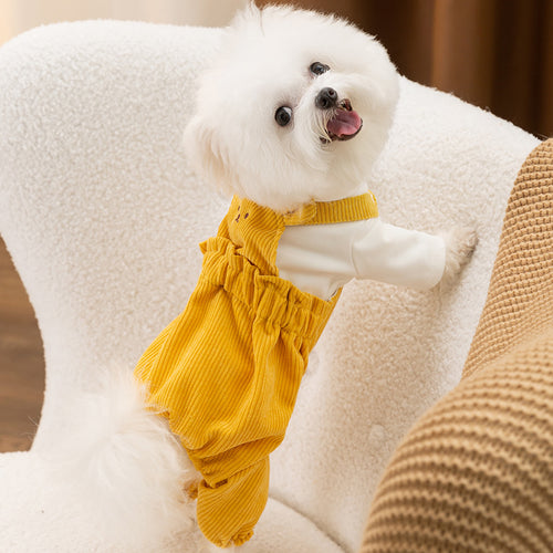 Dog overall with bib pants made of corduroy