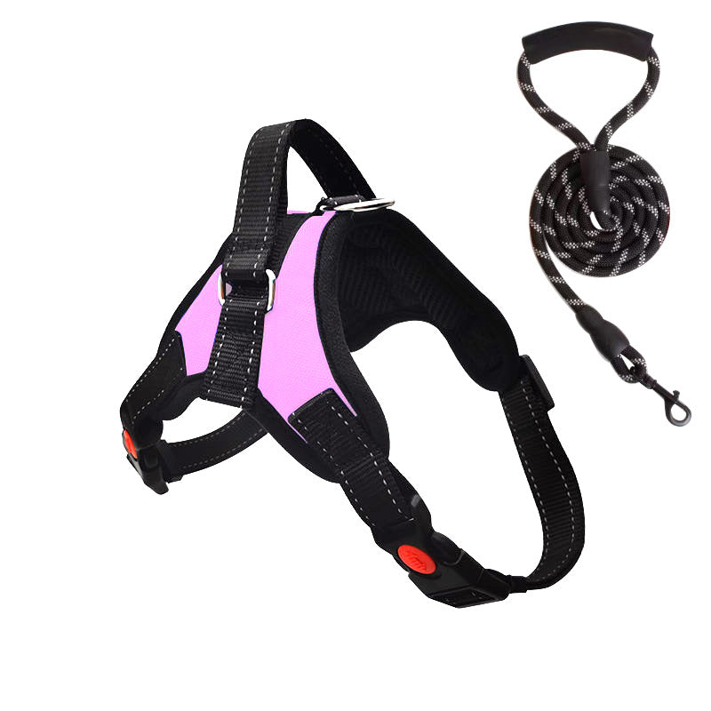 Padded dog harness with leash