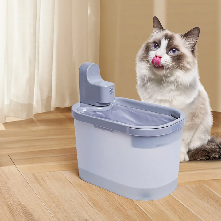 Intelligent drinking fountain with motion sensor