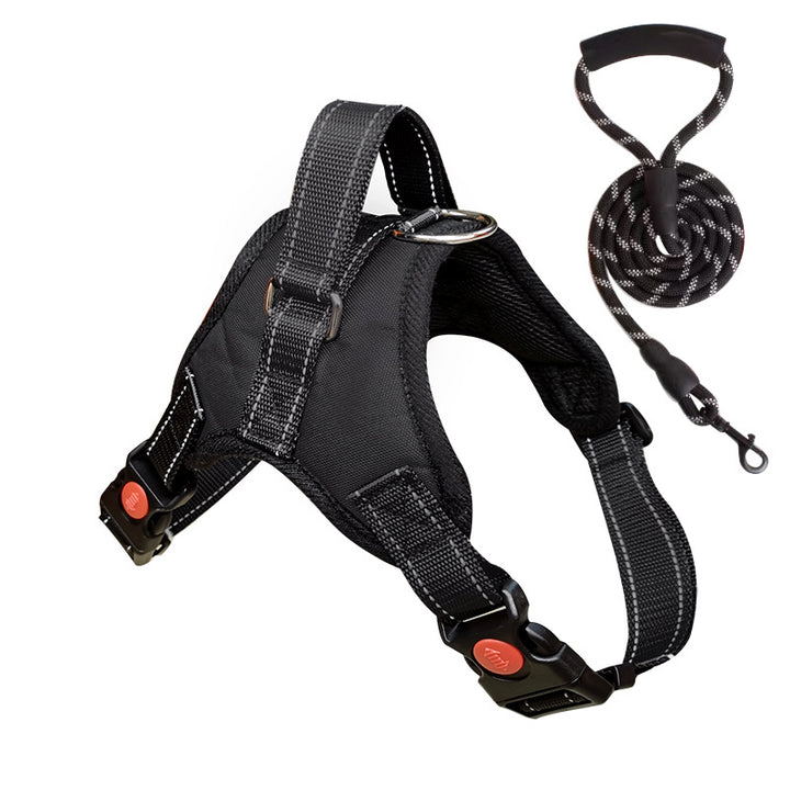 Padded dog harness with leash