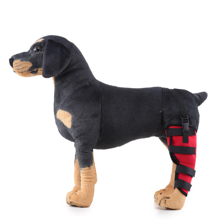 Hind leg support sleeve for dogs, year-round