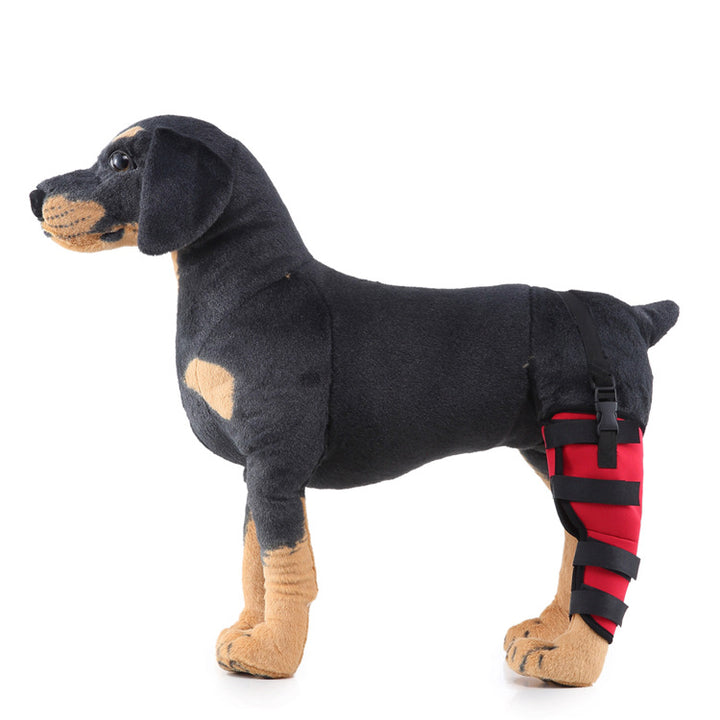 Hind leg support sleeve for dogs, year-round