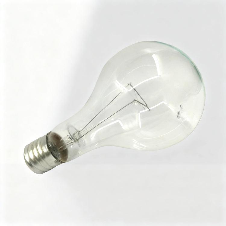 Light bulb E40 screw base 110V/220V