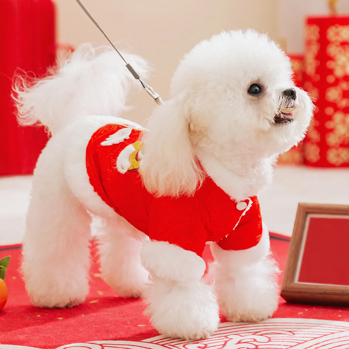 Winter coat for small dogs and cats
