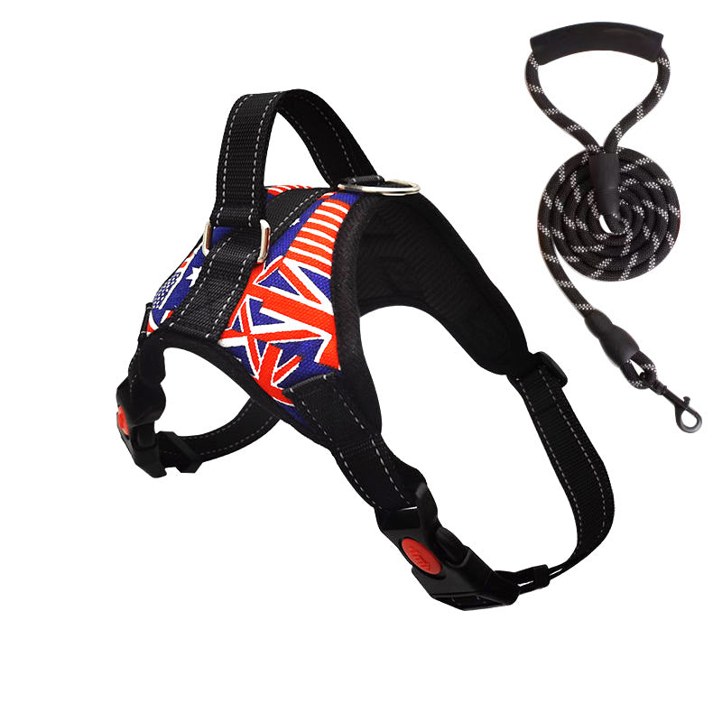 Padded dog harness with leash