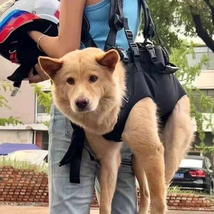 Backpack for dogs and cats, up to 7.5 kg, Oxford