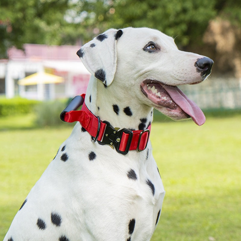 Tactical dog collar with handle