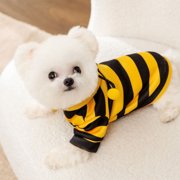 Sweatshirt for dogs and cats with bee motif