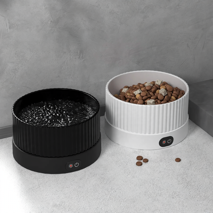 Heated ceramic water dispenser for cats and dogs