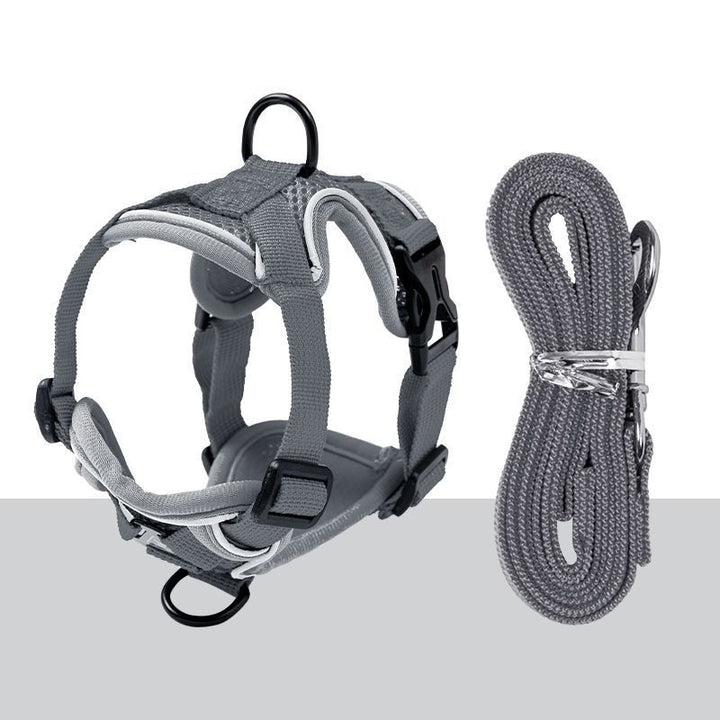 Padded dog harness with leash