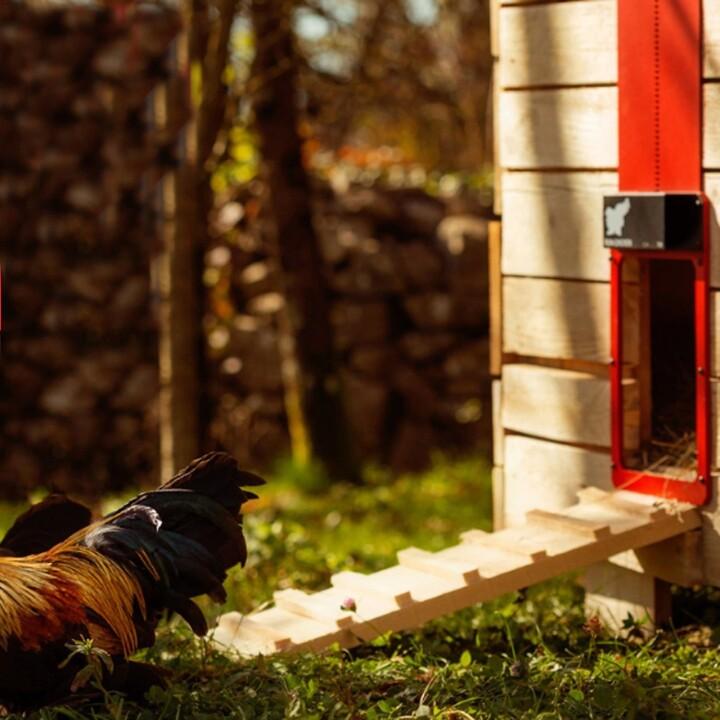 BowLift | Poultry Farm Automatic Chicken House Door
