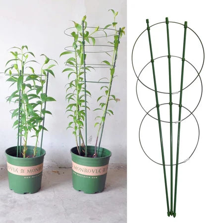 BowLift | Climbing frame for plants – Sturdy support ring frame for climbing plants
