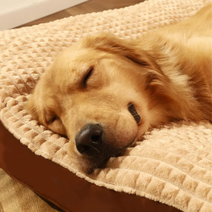 BowLift | PawHaven – For restful sleep and happy dog days