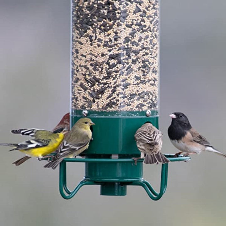 BowLift | Squirrel-proof bird feeder