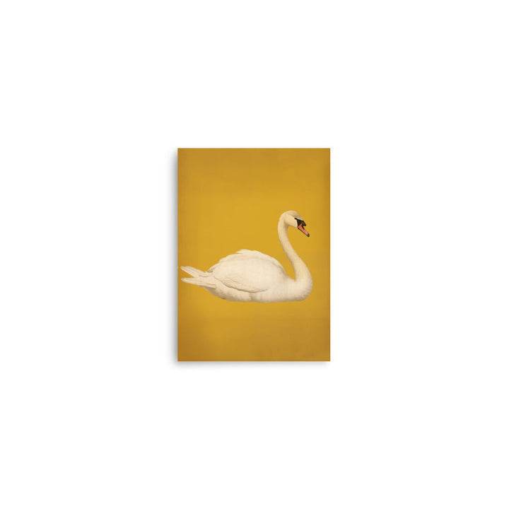 Swan | Bowlift