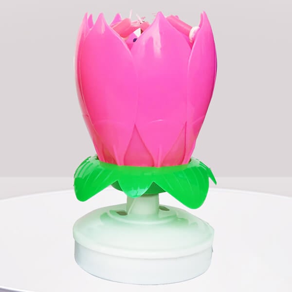 BowLift | 🎂Magic Flower Birthday Candle